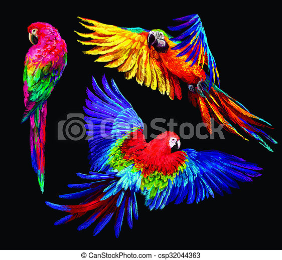 Detail Images Of Colorful Parrots Nomer 38