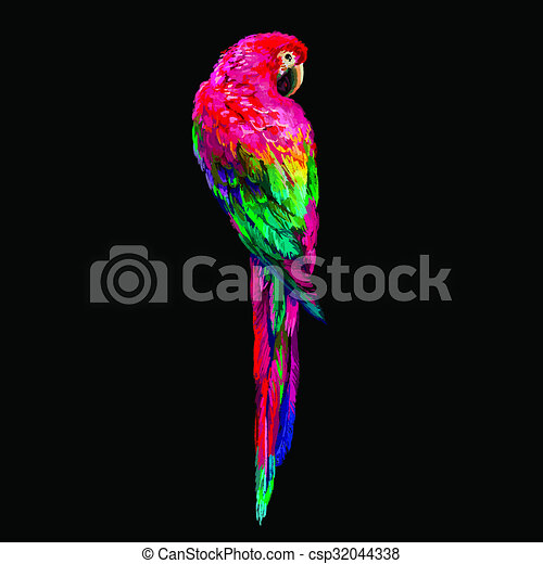Detail Images Of Colorful Parrots Nomer 44