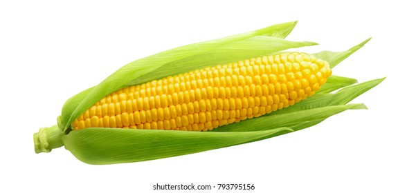 Images Of Corn - KibrisPDR