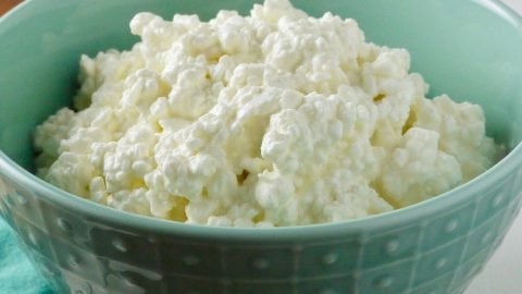Detail Images Of Cottage Cheese Nomer 52
