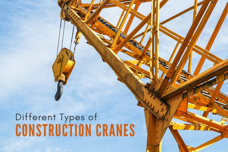 Detail Images Of Cranes Nomer 39