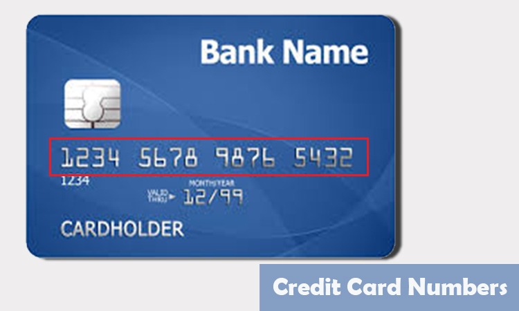 Detail Images Of Credit Card Numbers Nomer 6