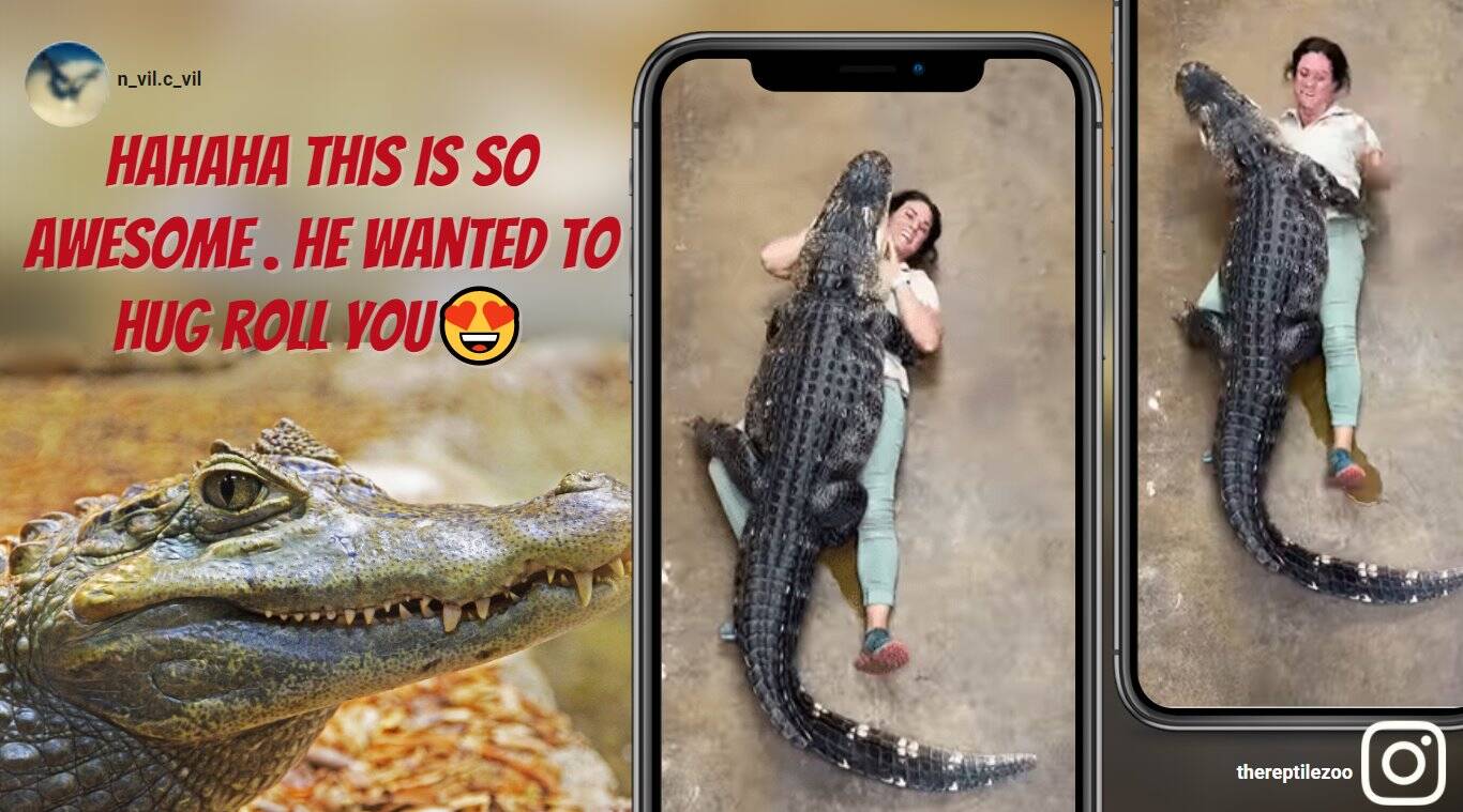 Detail Images Of Crocodiles And Alligators Nomer 35