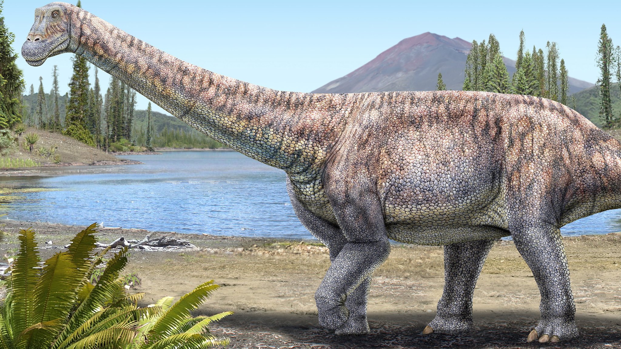 Detail Images Of Dinosaur Nomer 14