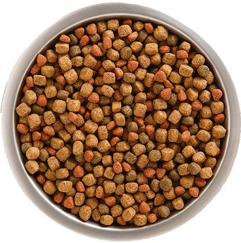 Detail Images Of Dog Food Nomer 20