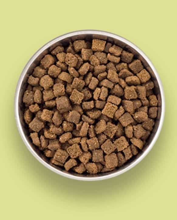 Detail Images Of Dog Food Nomer 28