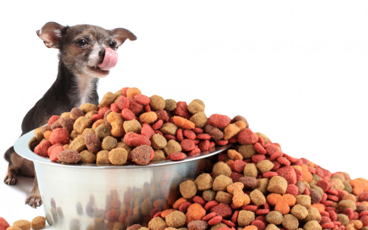 Detail Images Of Dog Food Nomer 5