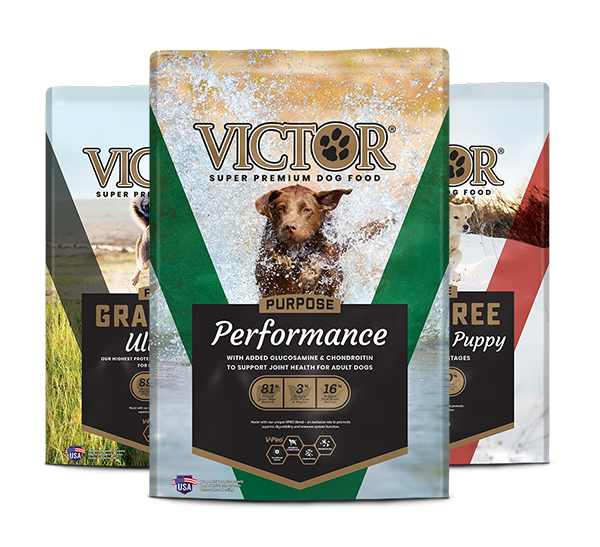 Detail Images Of Dog Food Nomer 53