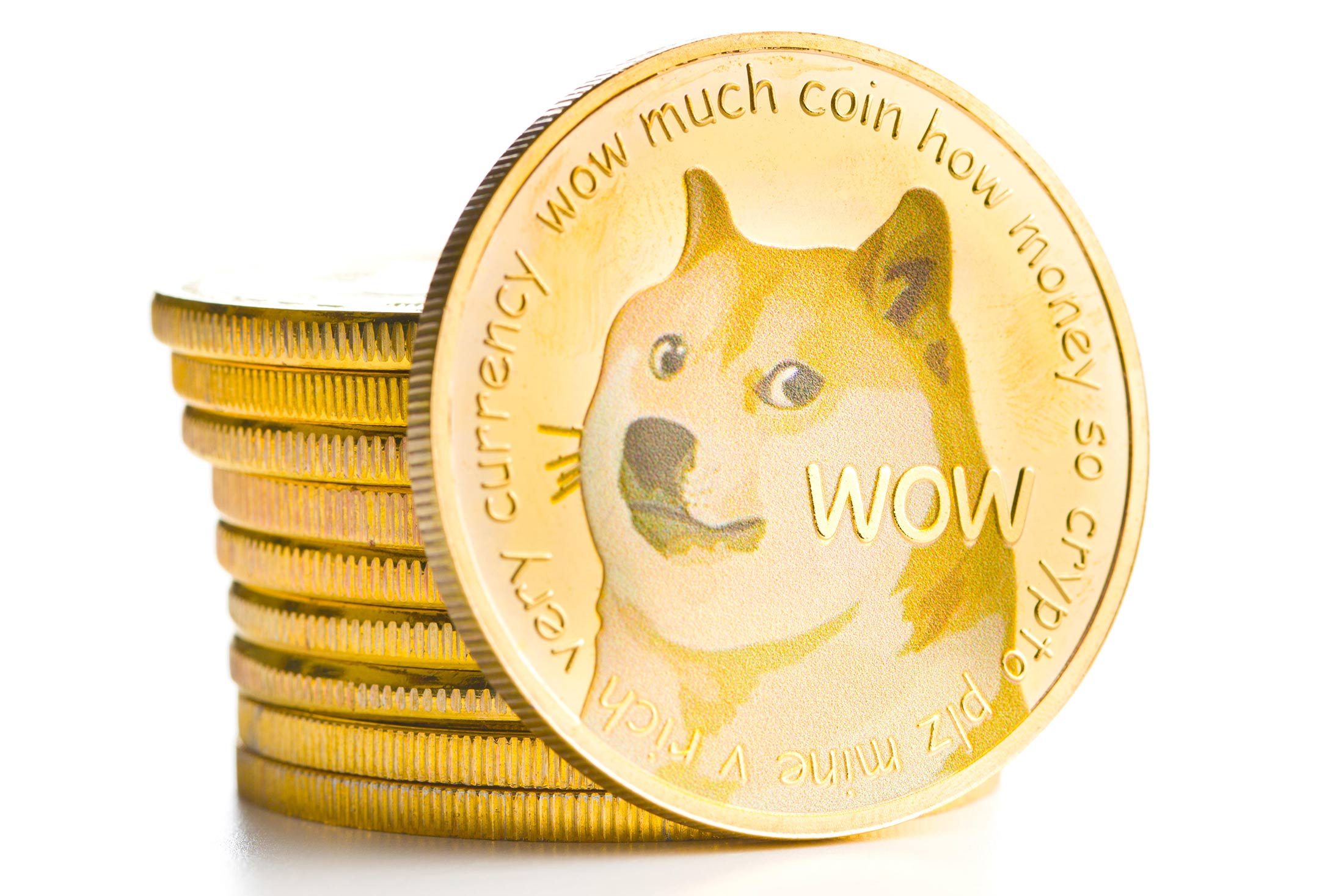 Detail Images Of Doge Nomer 12