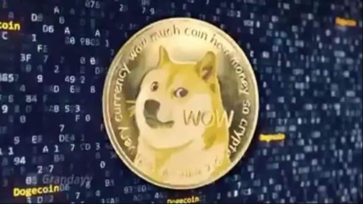 Detail Images Of Doge Nomer 13