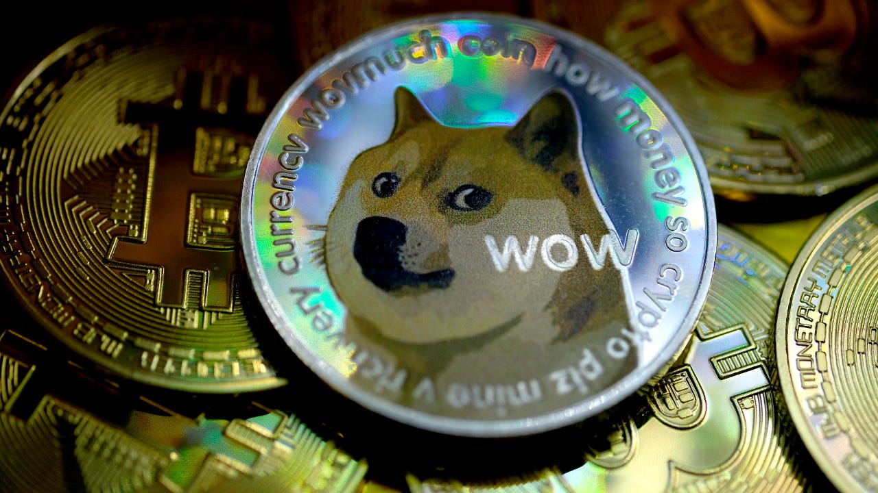 Detail Images Of Doge Nomer 17