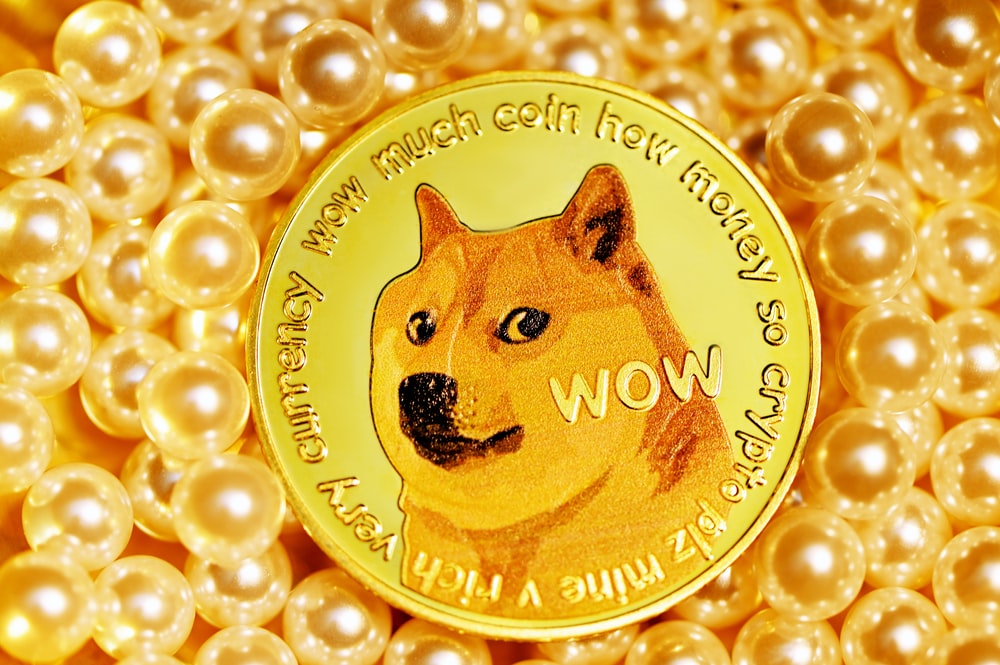 Detail Images Of Doge Nomer 28