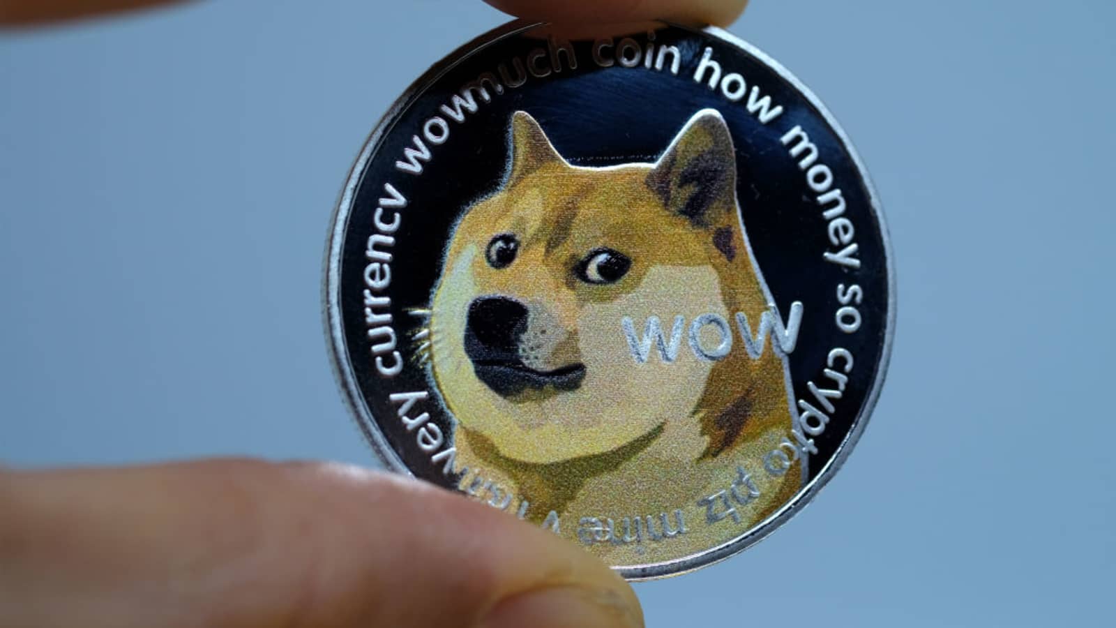 Detail Images Of Doge Nomer 5