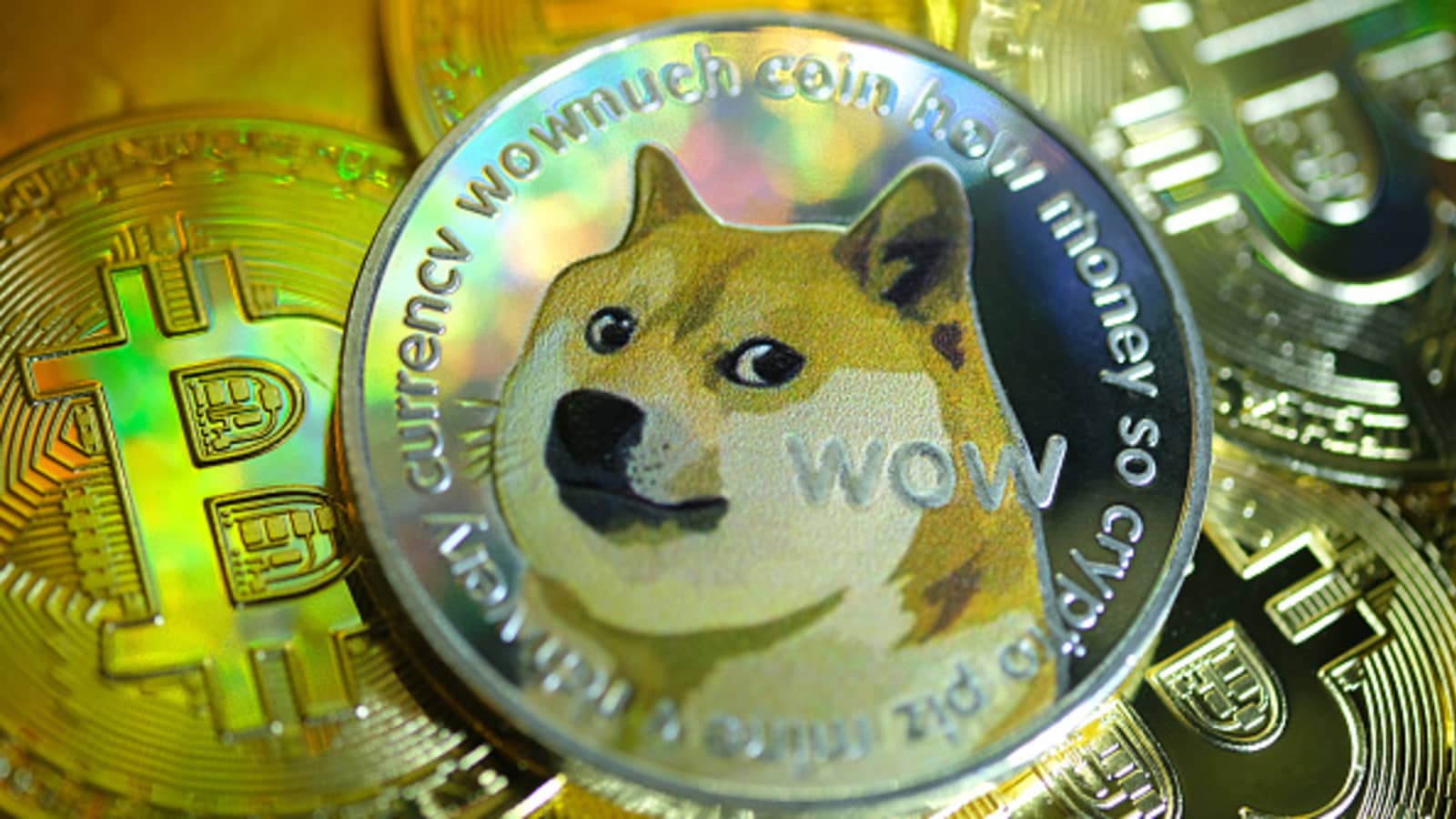 Detail Images Of Doge Nomer 43