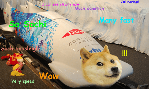 Detail Images Of Doge Nomer 6