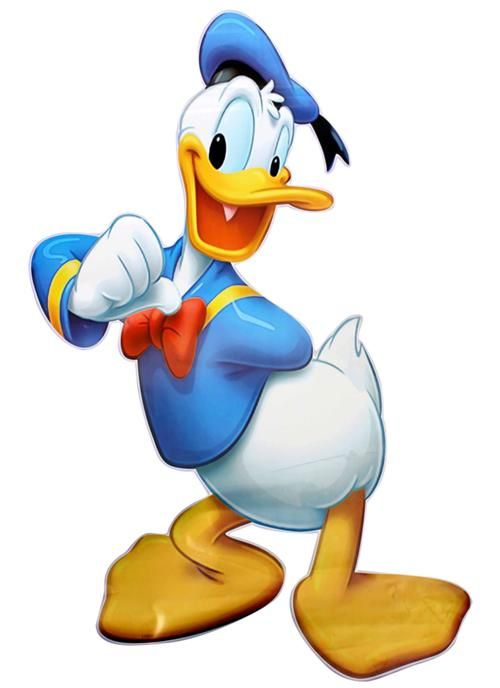 Detail Images Of Donald Duck Nomer 11