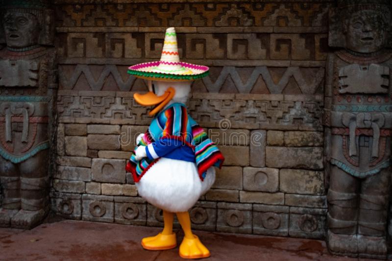 Detail Images Of Donald Duck Nomer 16