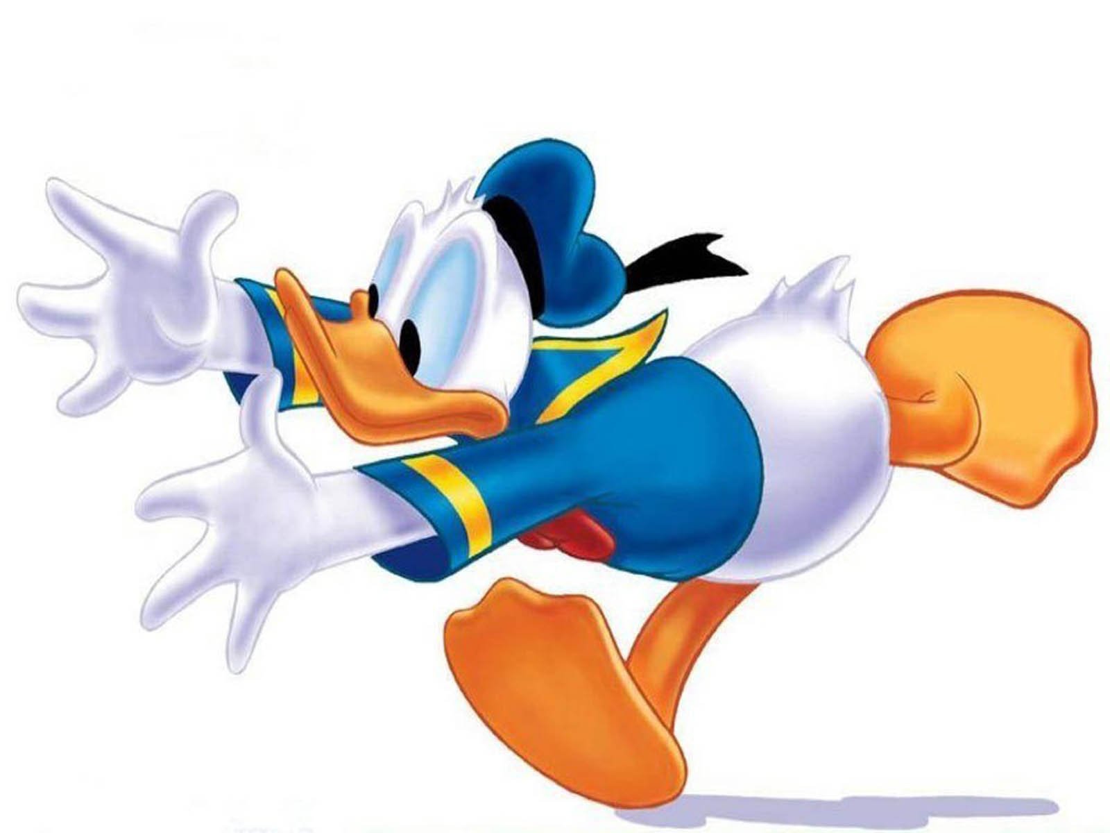 Detail Images Of Donald Duck Nomer 23