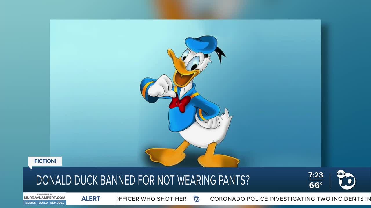 Detail Images Of Donald Duck Nomer 24