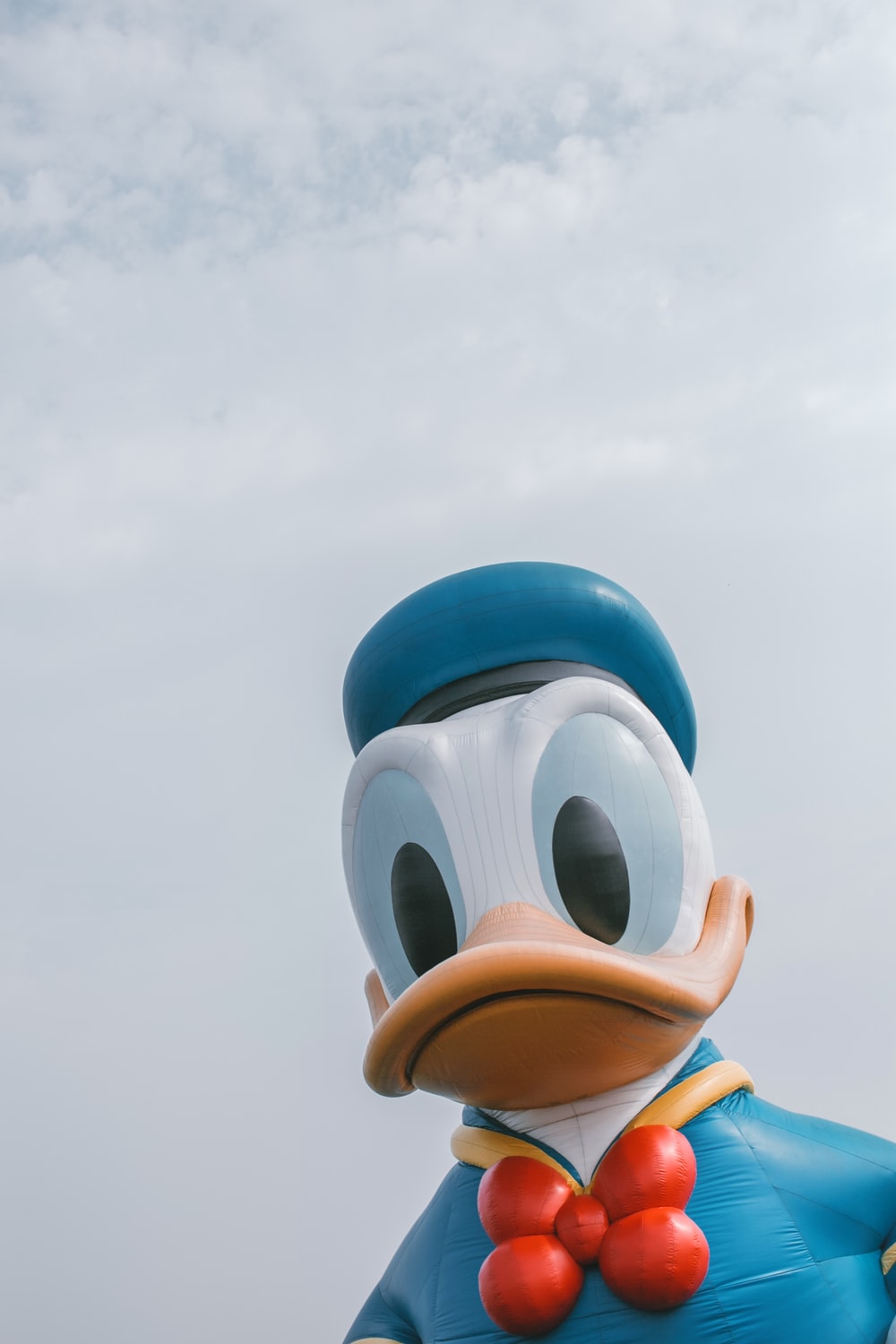 Detail Images Of Donald Duck Nomer 35