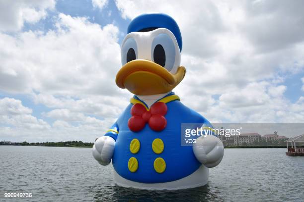 Detail Images Of Donald Duck Nomer 38