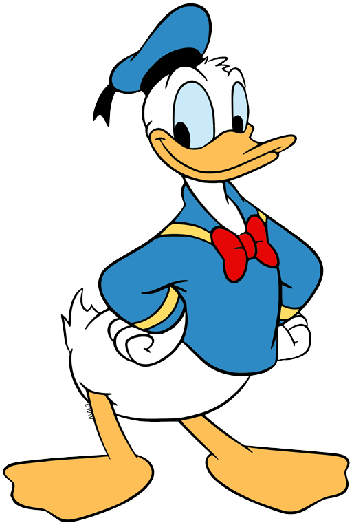 Detail Images Of Donald Duck Nomer 10