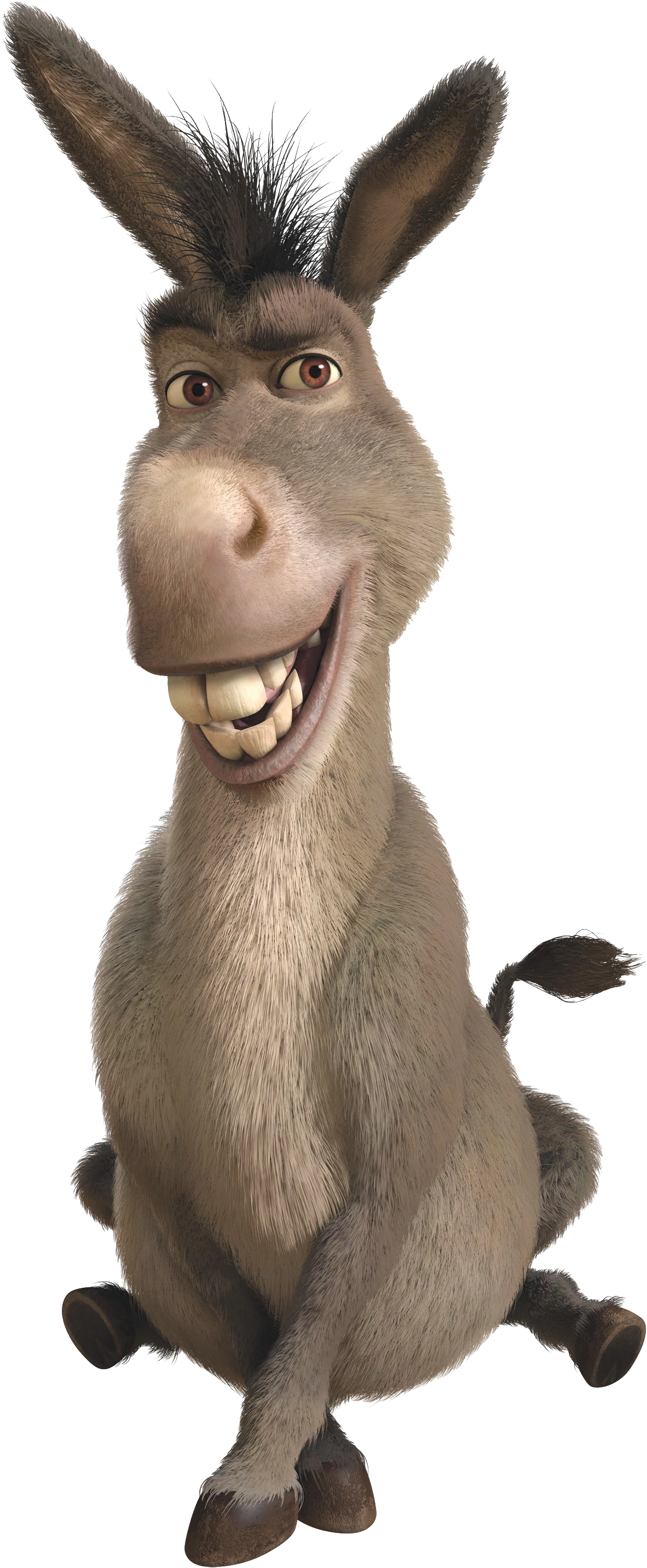 Images Of Donkey From Shrek - KibrisPDR