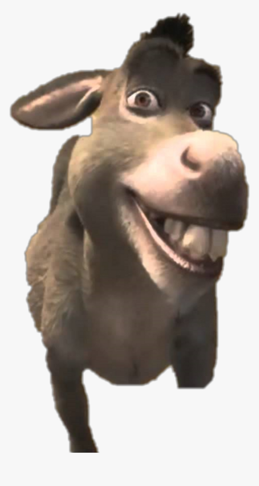 Detail Images Of Donkey From Shrek Nomer 17