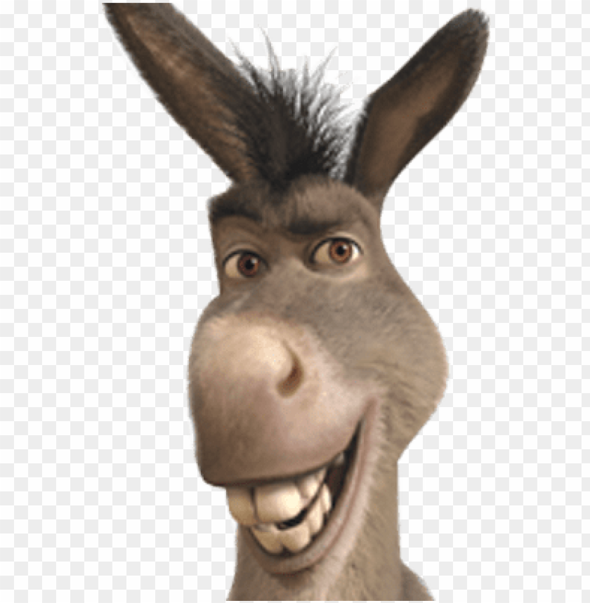 Detail Images Of Donkey From Shrek Nomer 9