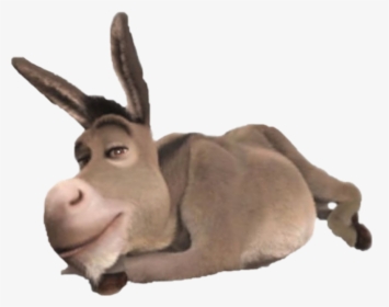 Detail Images Of Donkey From Shrek Nomer 10