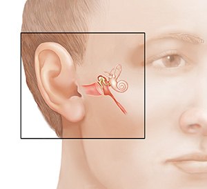 Detail Images Of Ear Nomer 39