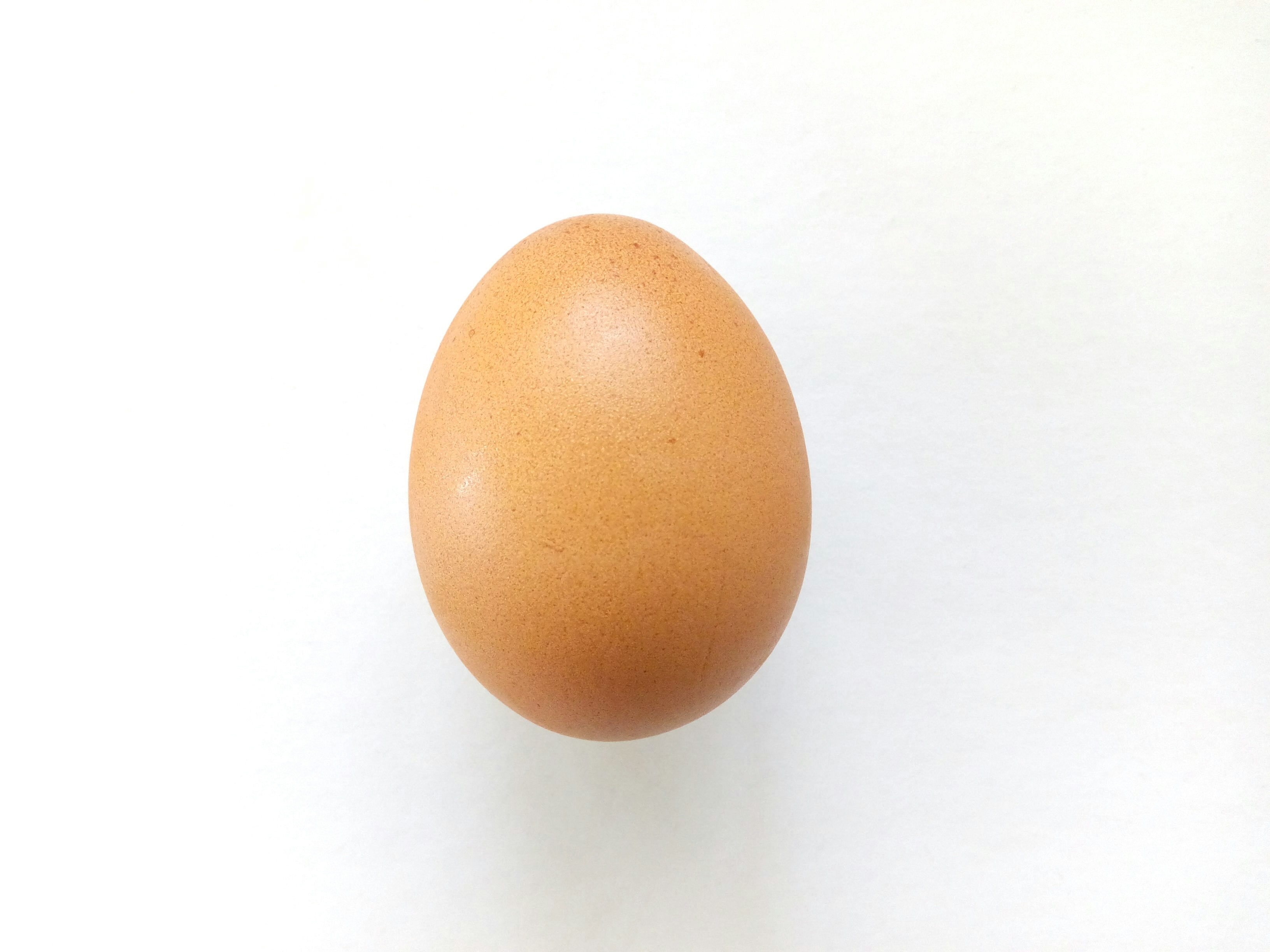 Detail Images Of Egg Nomer 16
