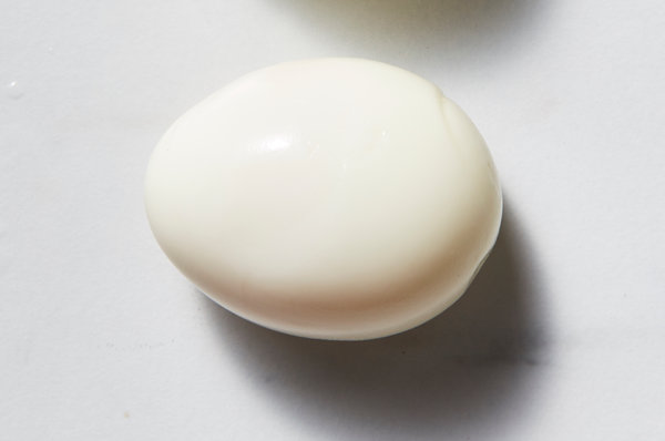 Detail Images Of Egg Nomer 19