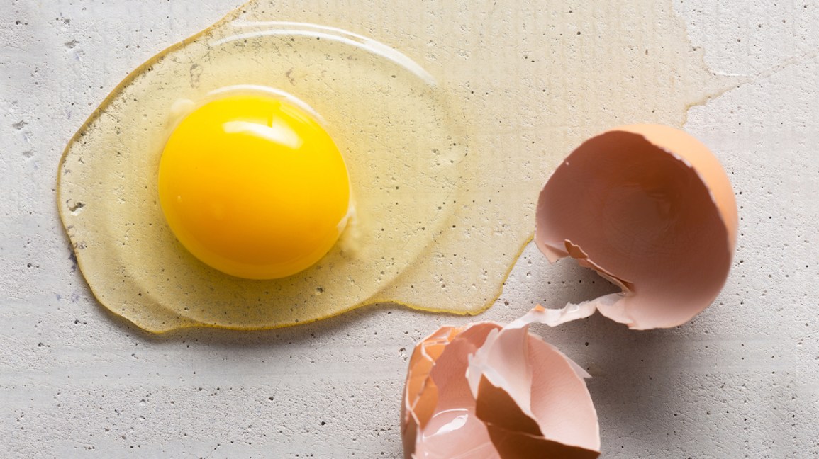 Detail Images Of Egg Nomer 23