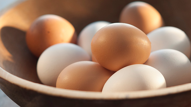 Detail Images Of Egg Nomer 25