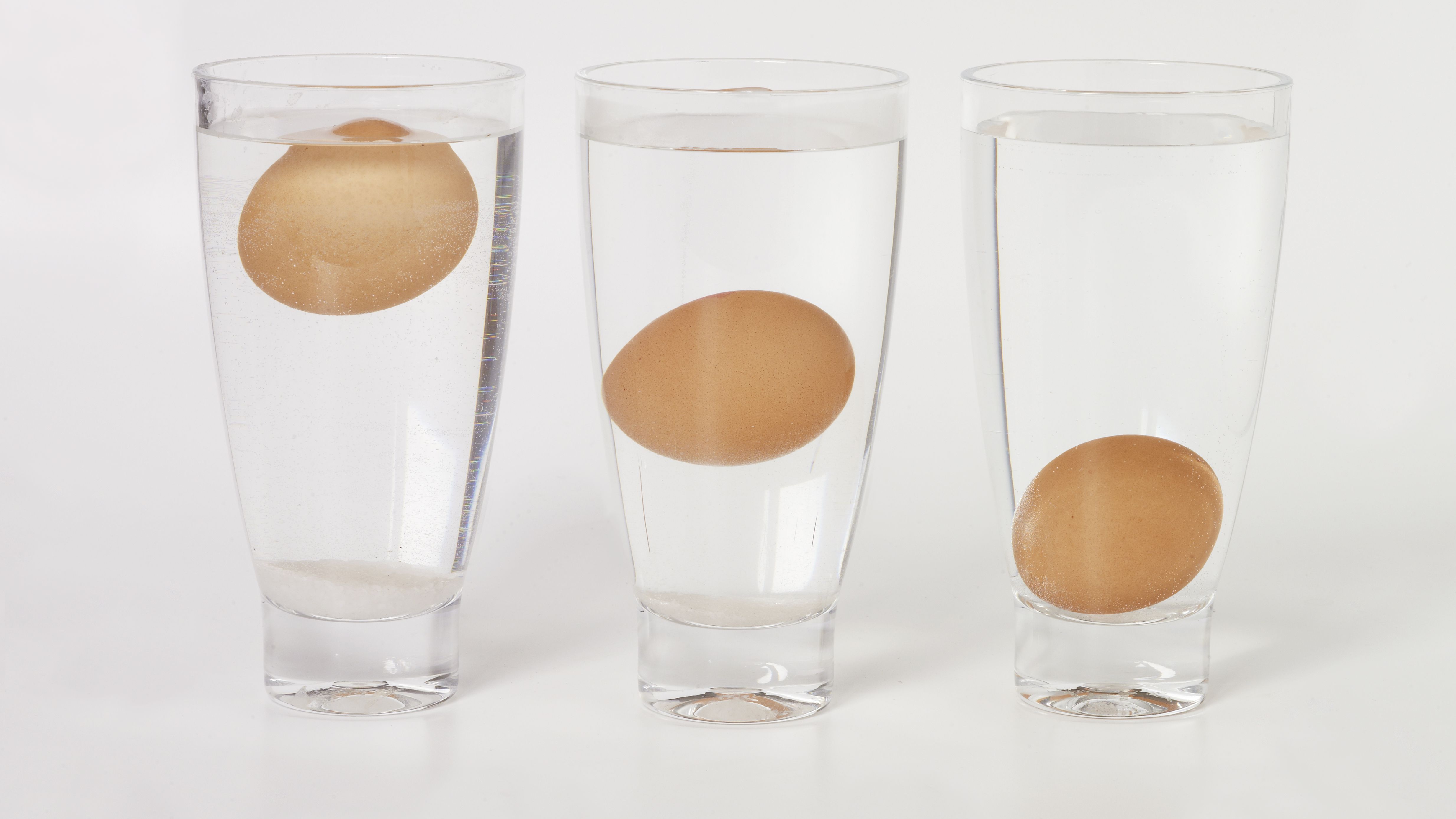 Detail Images Of Egg Nomer 42