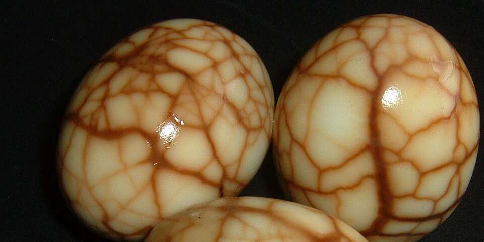 Detail Images Of Egg Nomer 55