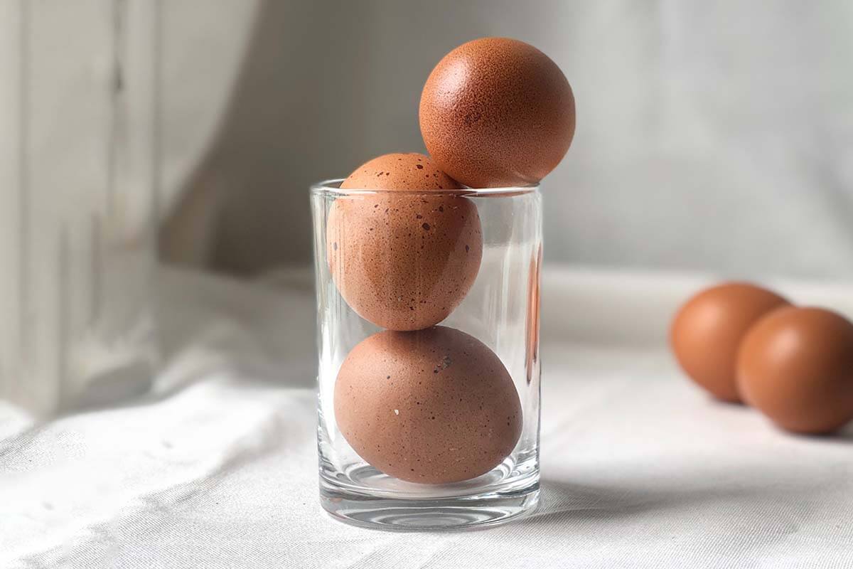 Detail Images Of Egg Nomer 57