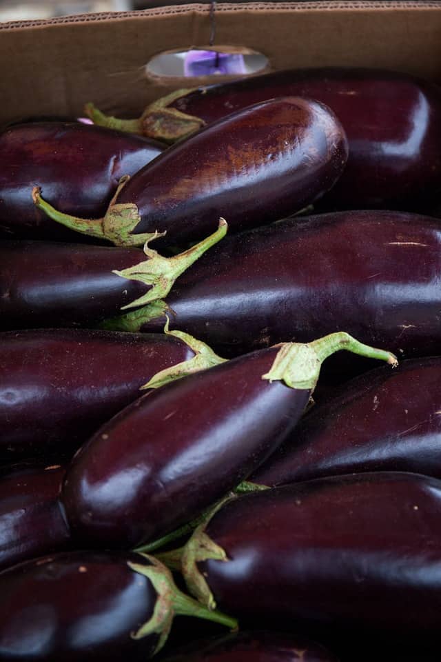 Detail Images Of Eggplant Nomer 16
