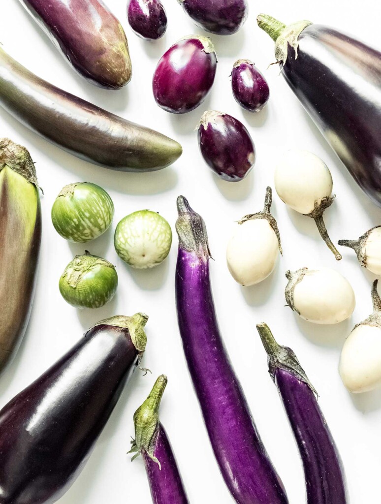 Detail Images Of Eggplant Nomer 5