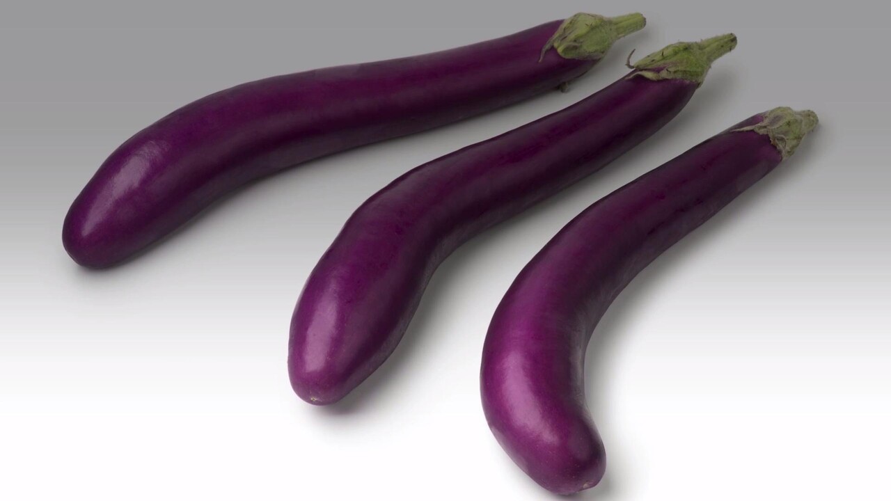 Detail Images Of Eggplants Nomer 2