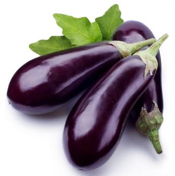 Detail Images Of Eggplants Nomer 11