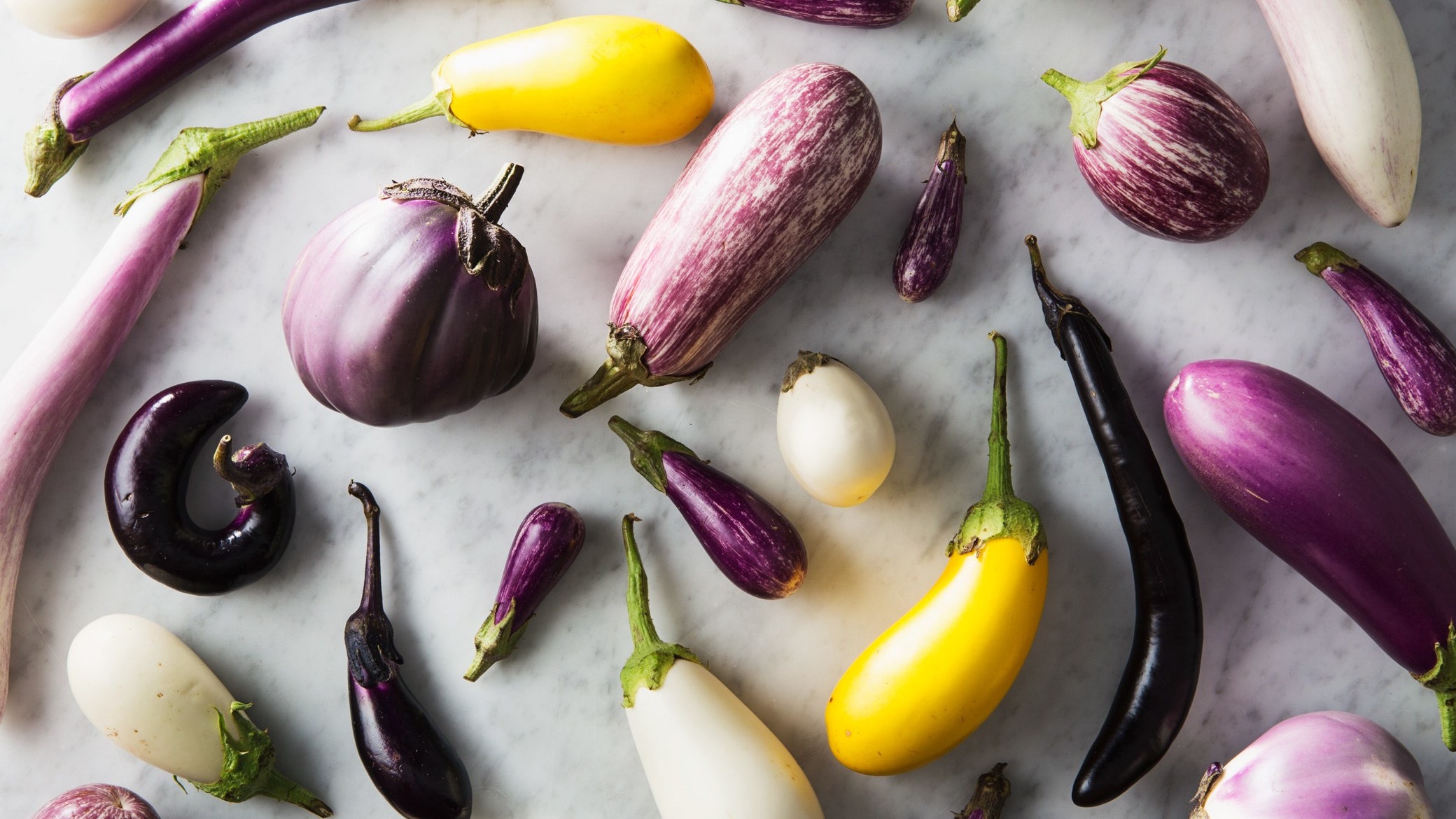 Detail Images Of Eggplants Nomer 15