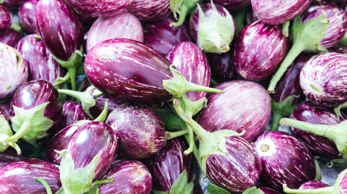 Detail Images Of Eggplants Nomer 17