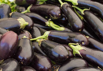 Detail Images Of Eggplants Nomer 19