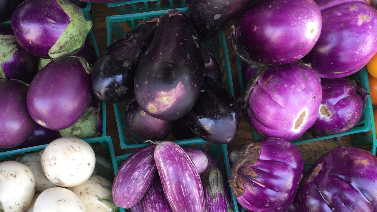 Detail Images Of Eggplants Nomer 27