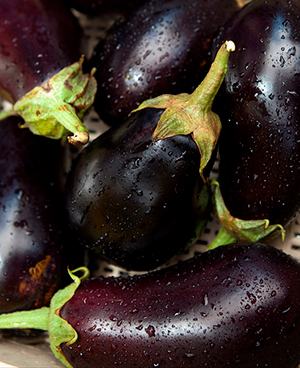 Detail Images Of Eggplants Nomer 36