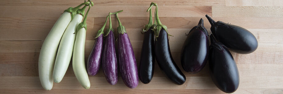 Detail Images Of Eggplants Nomer 41