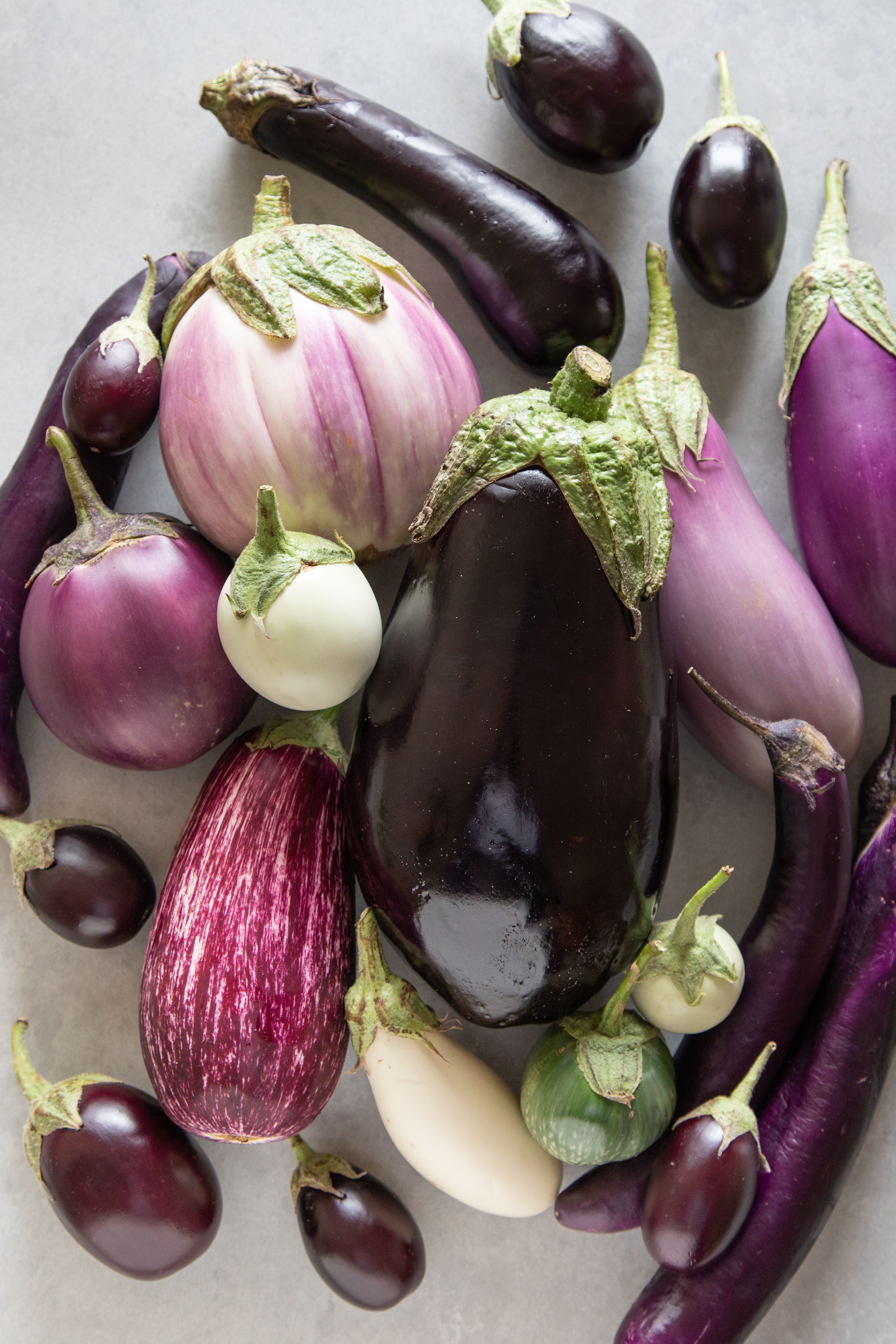 Detail Images Of Eggplants Nomer 45