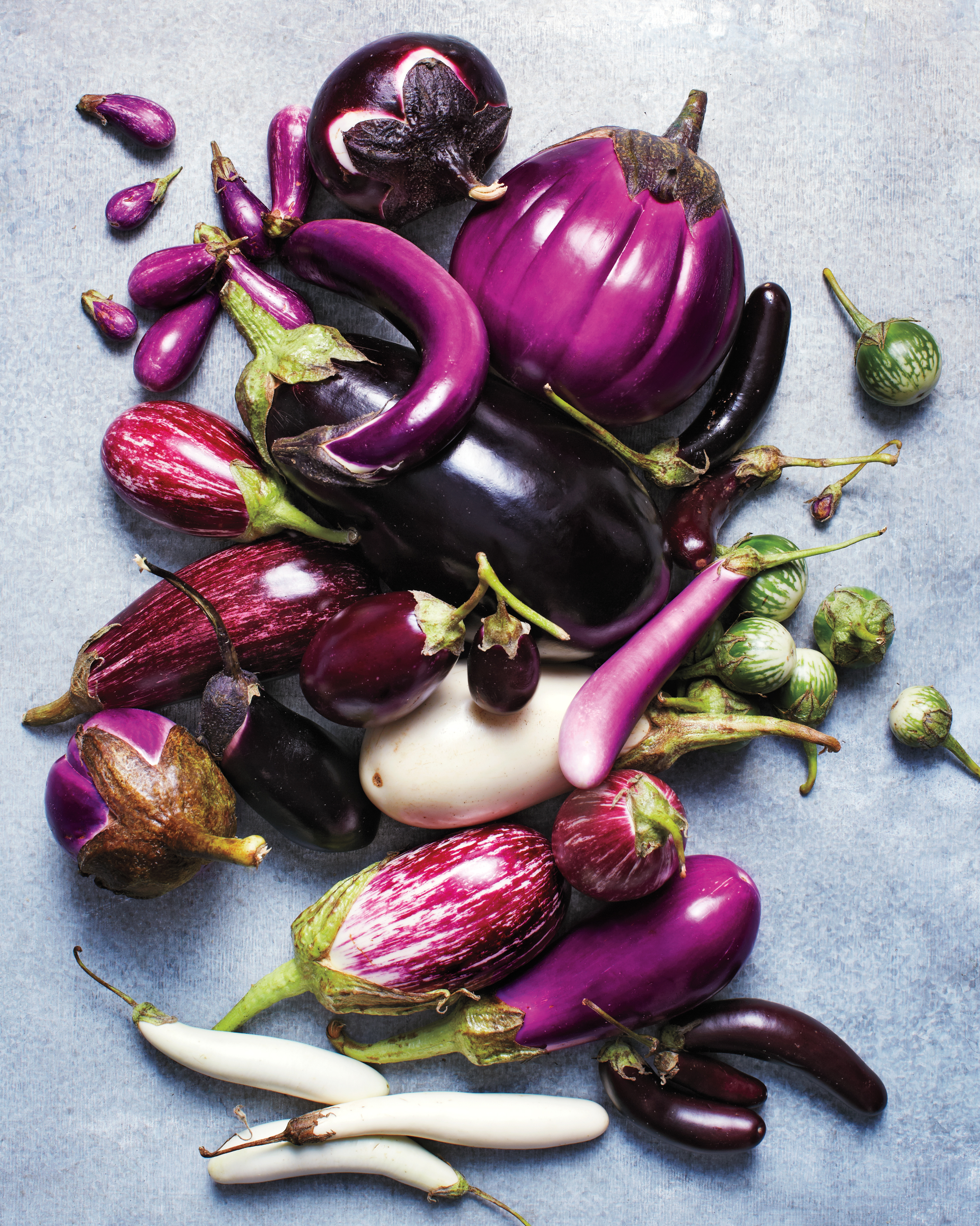 Detail Images Of Eggplants Nomer 56